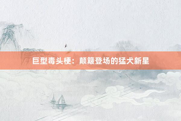 巨型毒头梗：颠簸登场的猛犬新星
